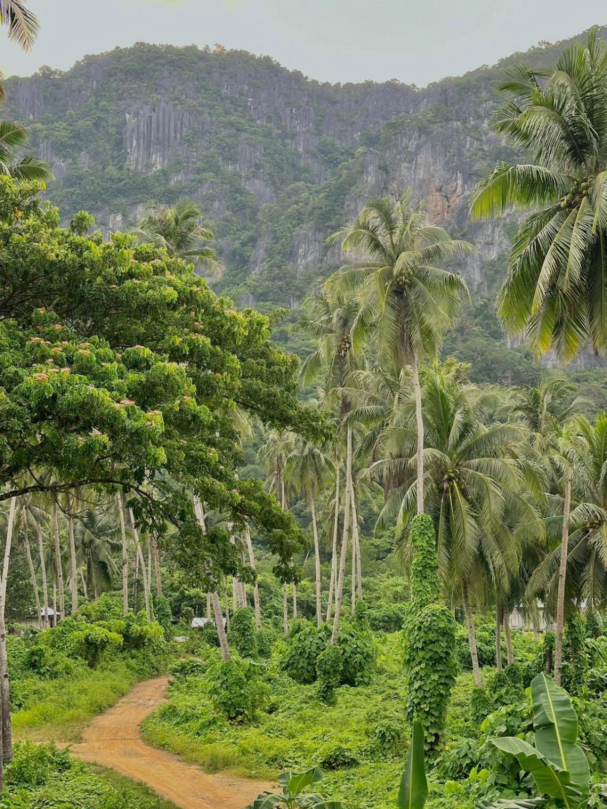 Casa Juliana El Nido Hotel Екстериор снимка